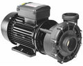 LX WP300-II PUMP DUAL SPEED 3.0HP fri frakt.